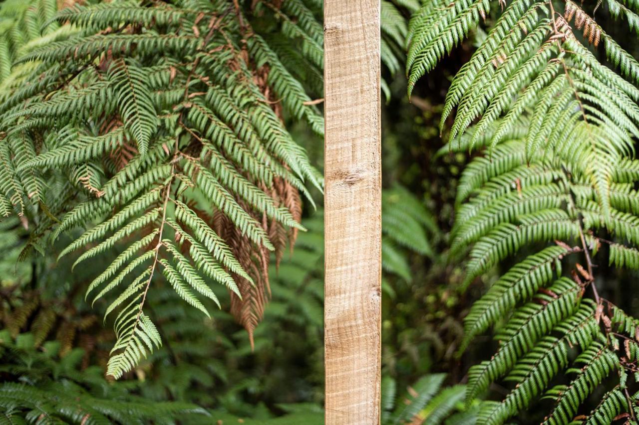 Punakaiki Treehouse Limited Buitenkant foto