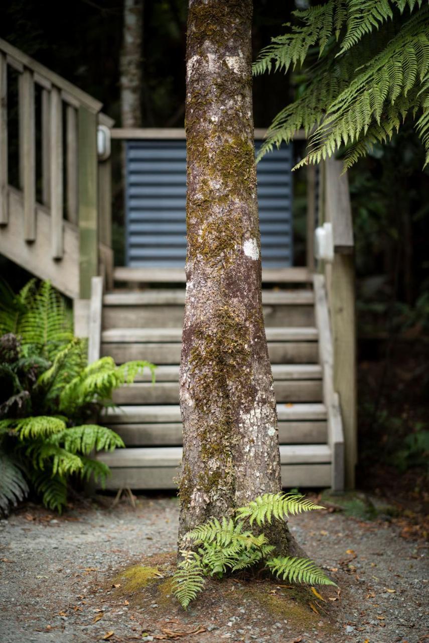 Punakaiki Treehouse Limited Buitenkant foto